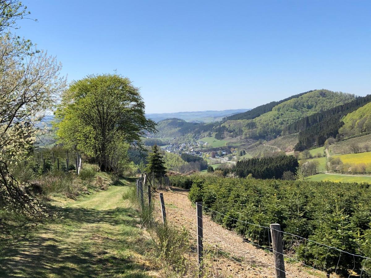 Ferienwohnung Tannenglueck Schmallenberg Exteriör bild